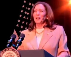 Video: Kamala Harris Campaign and DNC News Networks Call Trump & Vance “Weird”