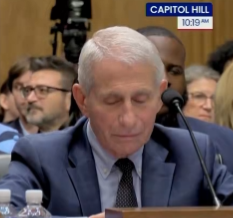 Video: Senator Josh Hawley ANNIHILATES fraud Fauci! MUST WATCH!